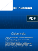 acizii nucleici 1a.ppt