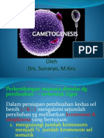 Drs. Sunaryo,. Gametogenesis
