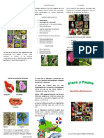 Flora y Fauna Brochure