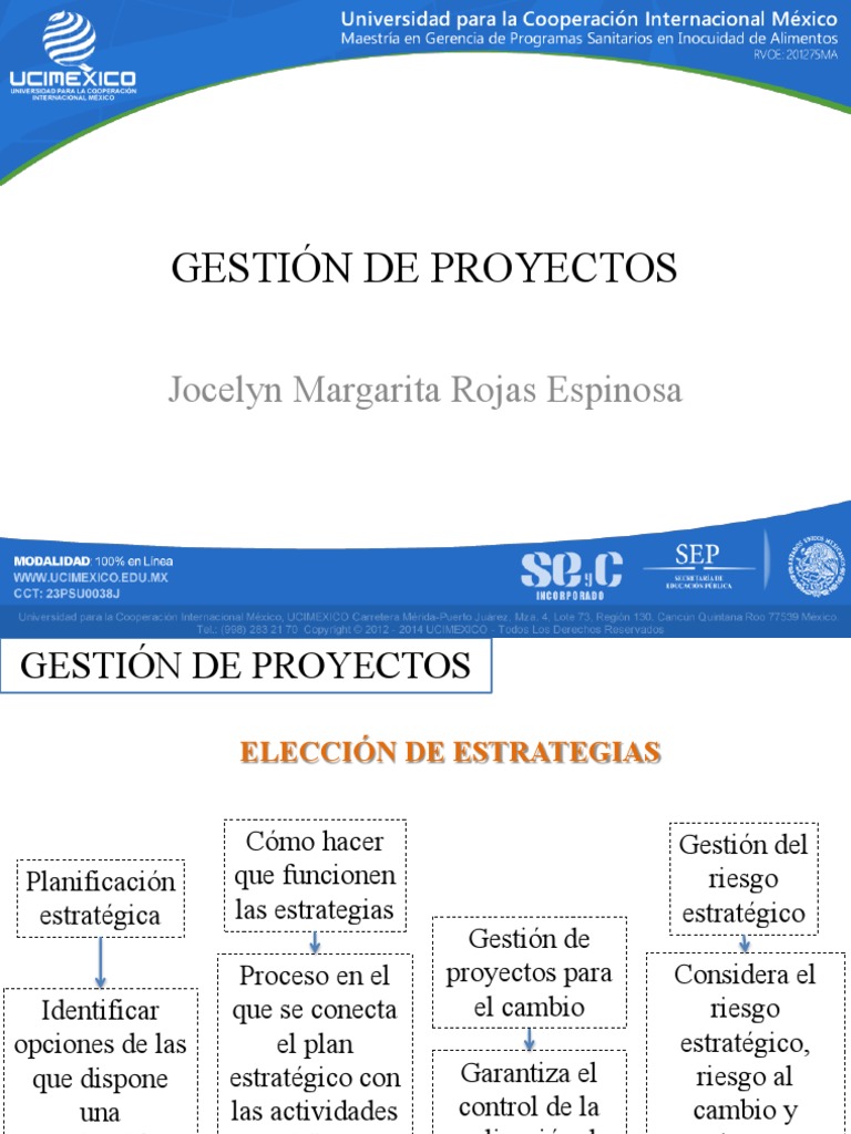 Estrategias en Gestión de Proyectos | PDF | Gestión de proyectos ...