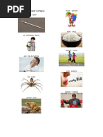 Partes Del Cuerpo en Qeqchi | PDF