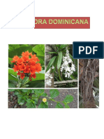 La Flora Dominicana