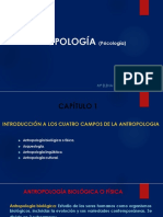 Diapositivas Antropología