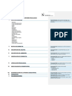 Modelo de Informe Psicologico