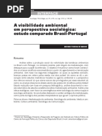 Visibilidade Ambiental No Brasil