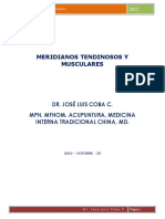 meridianos_tendinosos_muscularesJLC.pdf