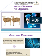 Clonación y Genetica Humana