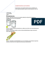 Alimentación de Las Plantas Experimento