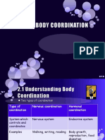 Body Coordination Chapter 2
