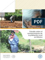 2 Estudio Sobre El Envejecimiento de La Población Rural en México PDF