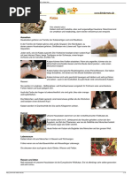 Amoko Y'ibituba | PDF