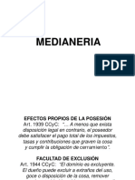 TNº-10-MEDIANERIA