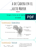 Fractura de Cadera en El Adulto Mayor Parte II