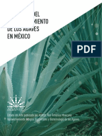 Panorama Del Aprovechamiento de Los Agaves en México