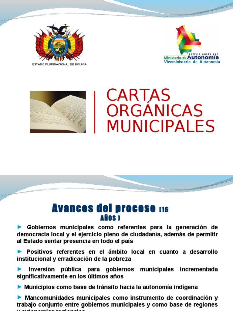 Visión de la Carta Orgánica Municipal Alcalde Regulación Free 30