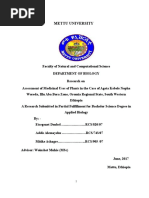 Aaddis Alemayehu-1 (1)