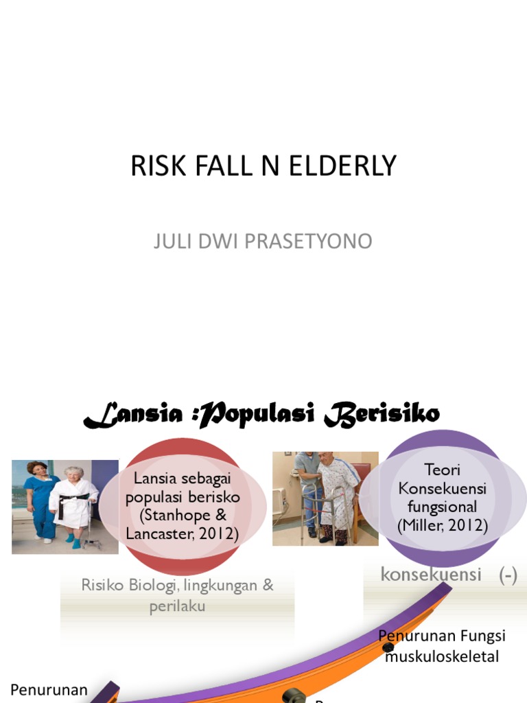 Fall Risk Factors in Elderly Care | PDF | Balance (Ability) | Wheelchair