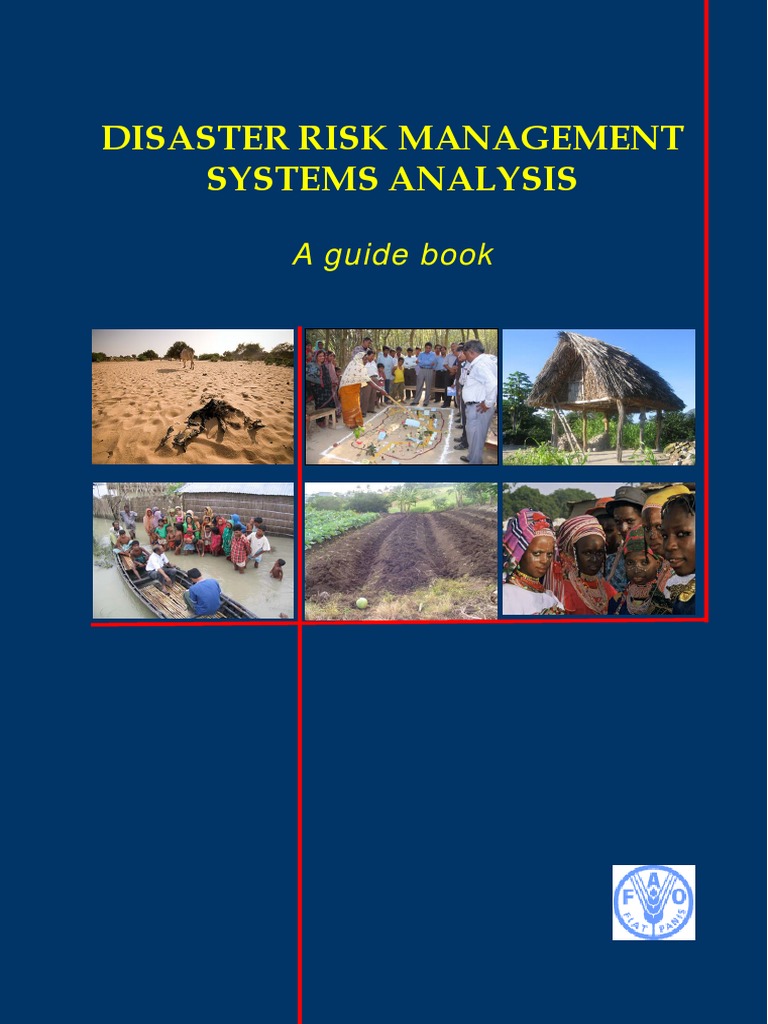 Disaster Risk Management Framework | PDF | Hazards | Emergency Management