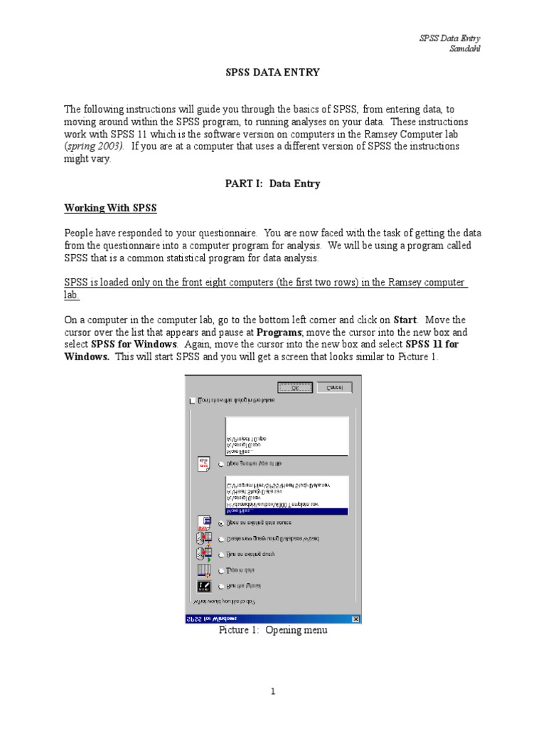 SPSS Data Entry | PDF | Spss | Icon (Computing)