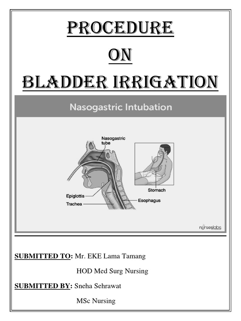 Procedure ON Bladder Irrigation SUBMITTED TO Mr EKE Lama Tamang