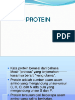 Protein