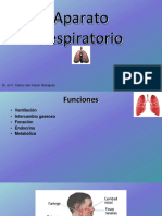 Aparato Respiratorio