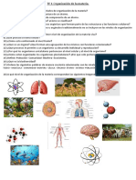  Organización de La Materia