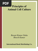 Download Principles of Animal Cell Culture by Ja Cansino SN37108650 doc pdf