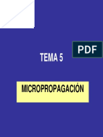 TEMA_5-_Micropropagacion.pdf