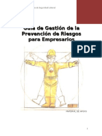 GUIA PPRR EMPRESARIOS.doc