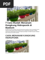 7 Cara Mudah Menanam Kangkung Hidroponik Di Baskom