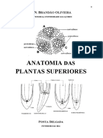 AnatomiaPlantasSuperioresJNBO.pdf