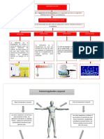 Termoregulatación Diagrama de Flujo Biofísica