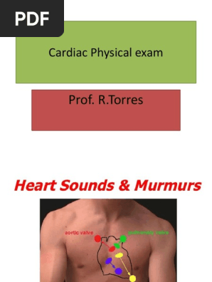 Cardiac Physical Exam