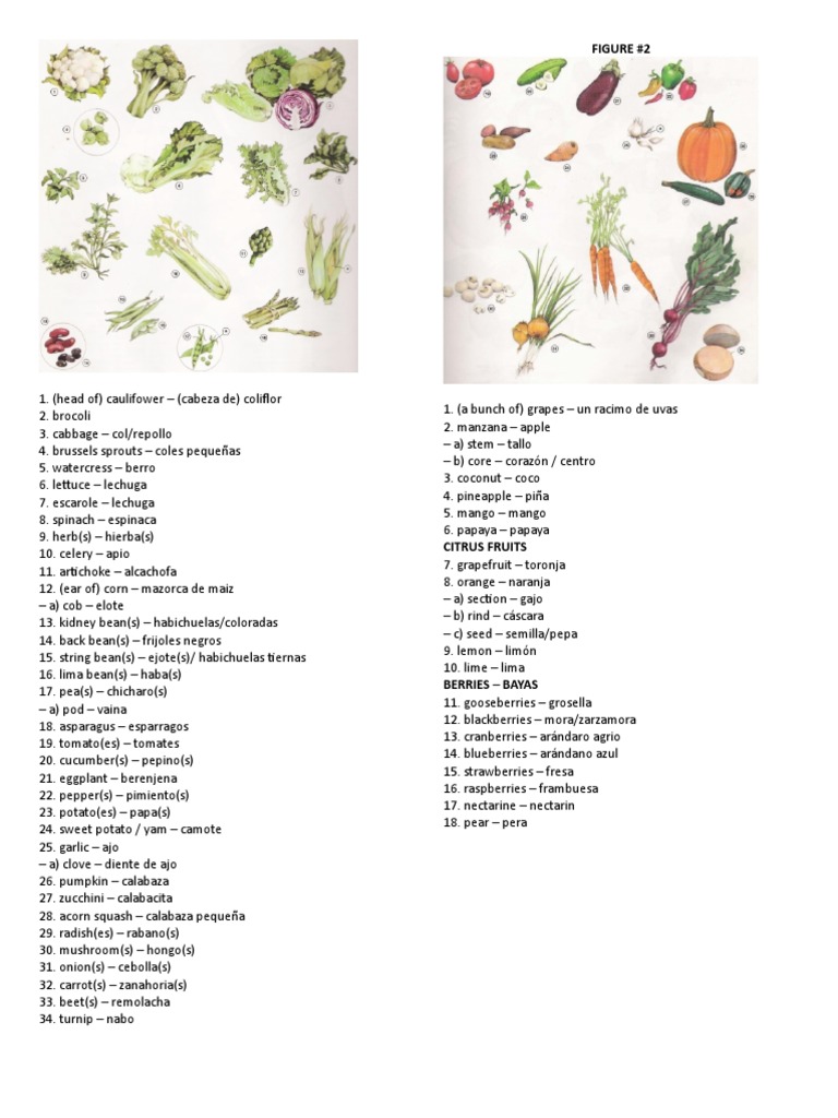 vocab-ula-rio-pdf-estonia-serbia