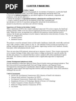 Download Cluster Financing by nhsureka SN37110684 doc pdf