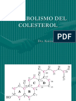Colesterol 2013