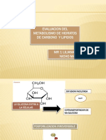 Metabolismo de Hidratos de Carbono y Lipidos