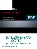 Organ System