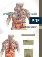Boca y Esofago