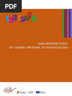 Guia_interpretativo.Niveis de formaçãopdf.pdf