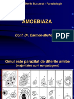 Amoebiaza Handout