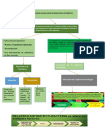 Resistencia Antimicrobiana.docx