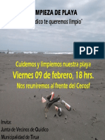 Afiche Limpieza Playa Quidico