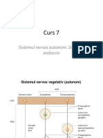 Glandele Endocrine