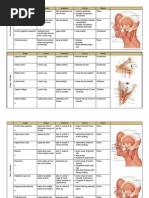 Download Muscle Chart by phinee16 SN37115216 doc pdf