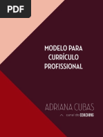 Modelo Curriculo Profissional