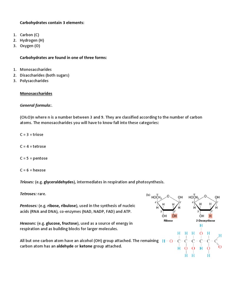 Biological Molecules and Enzymes | PDF | Active Site | Enzyme