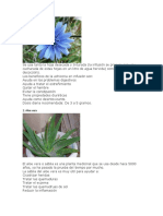 Plantas medicinales