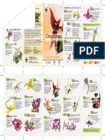 07_Guia_orquideas.pdf